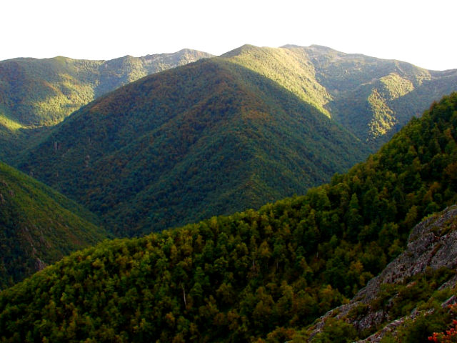 Asturias - Muniellos