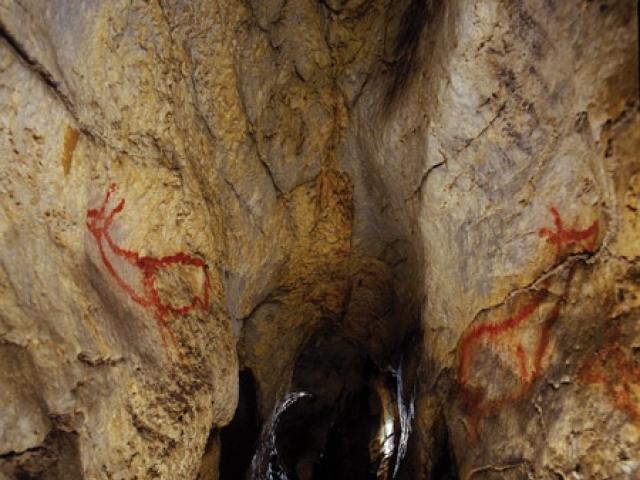 Cantabria - Cueva Covalanas