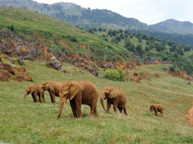 Cantabria - Parque Cabárceno