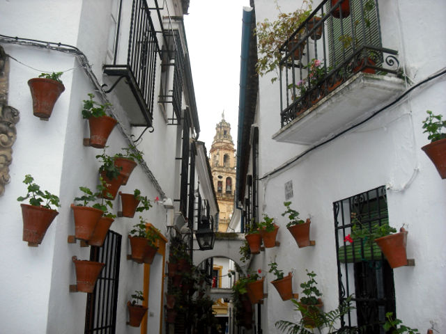 Cordoba - Calleja de las Flores