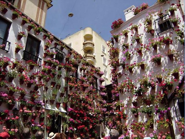 Cordoba - Patio