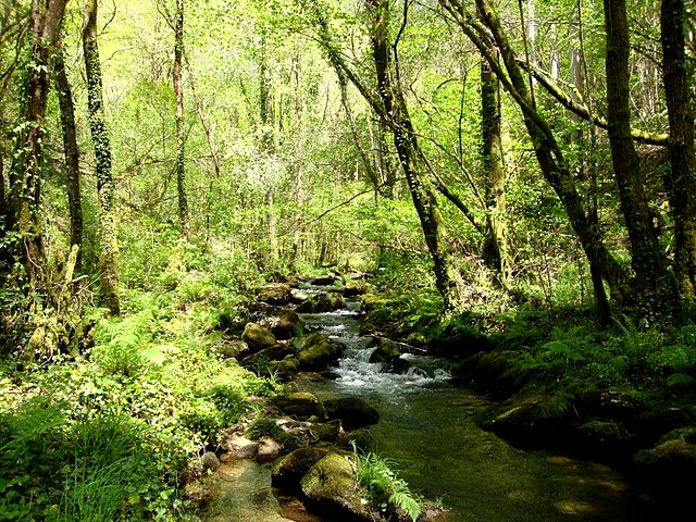 Galicia - Fragas do Eume