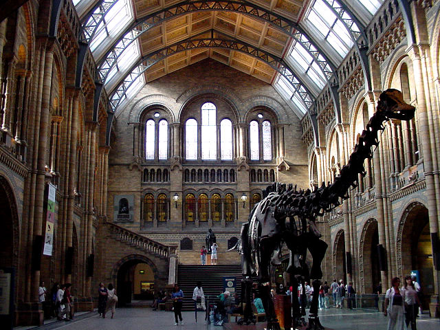 Londres - Museo Historia Natural