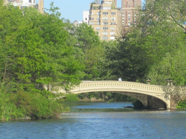 Nueva York - Central Park - Bow Bridge