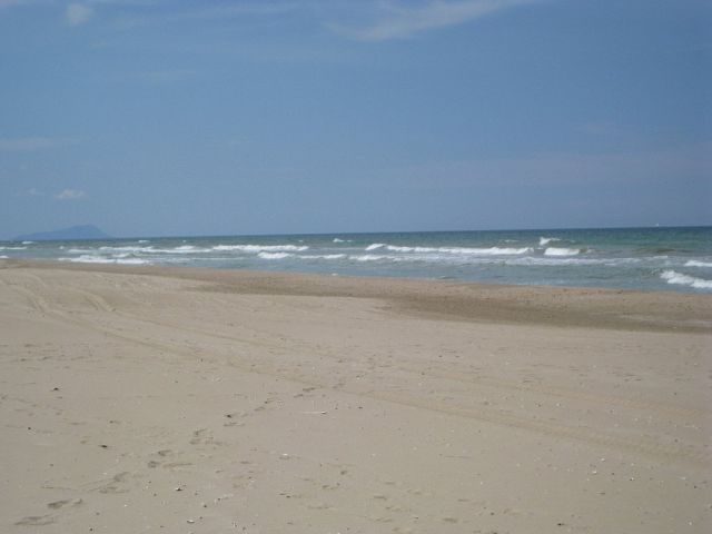 Valencia - Playa El Saler